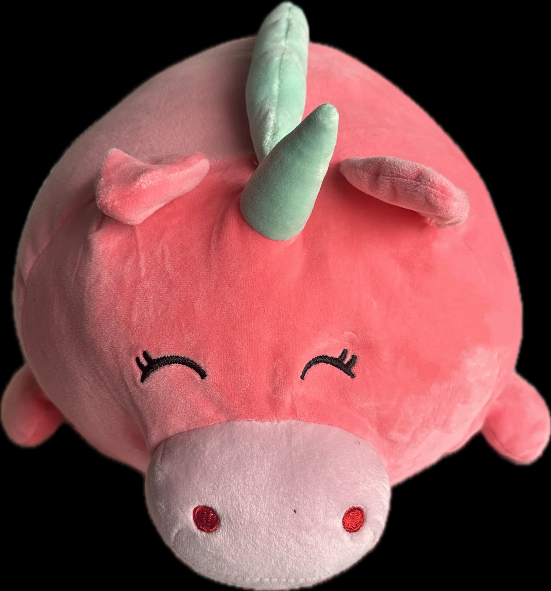 Foto secundaria de Peluche con Peso